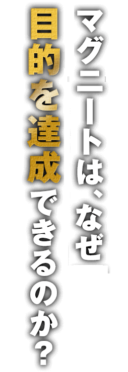 マグニートはなぜ問題解決ができ、もくてきを達成できるのか？